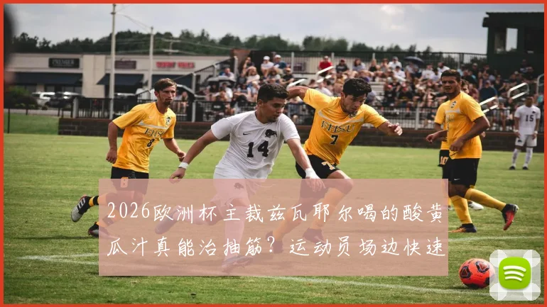 2026欧洲杯主裁兹瓦耶尔喝的酸黄瓜汁真能治抽筋？运动员场边快速恢复方法全解析