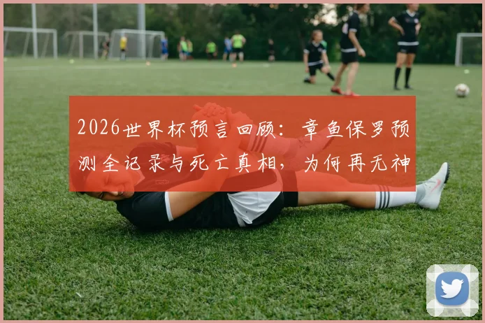 2026世界杯预言回顾：章鱼保罗预测全记录与死亡真相，为何再无神准动物？