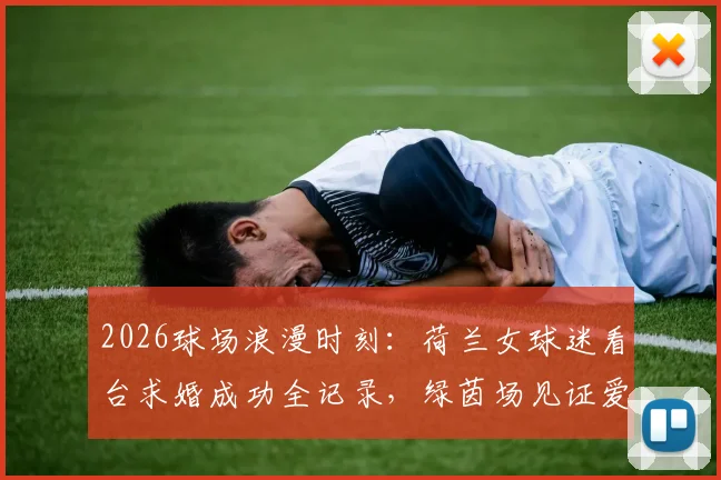 2026球场浪漫时刻：荷兰女球迷看台求婚成功全记录，绿茵场见证爱情诞生全过程