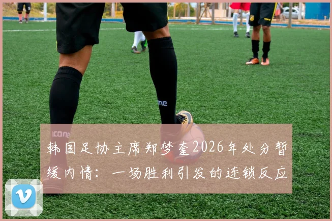 韩国足协主席郑梦奎2026年处分暂缓内情：一场胜利引发的连锁反应与韩国足球管理现状剖析